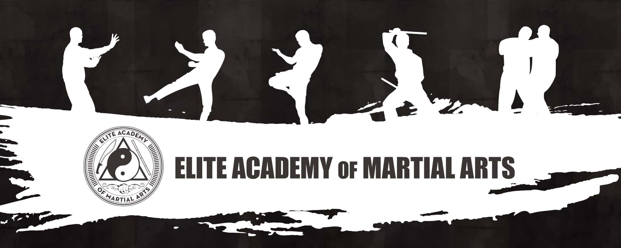 Elite Academy Banner